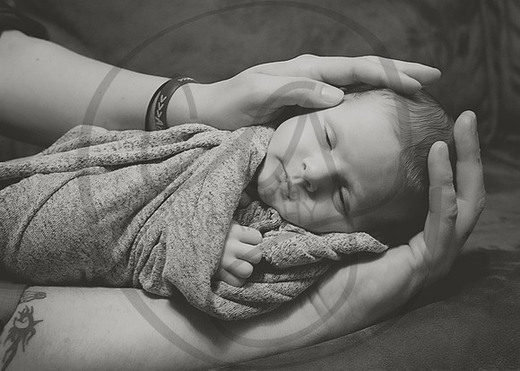 DSC_9917bw