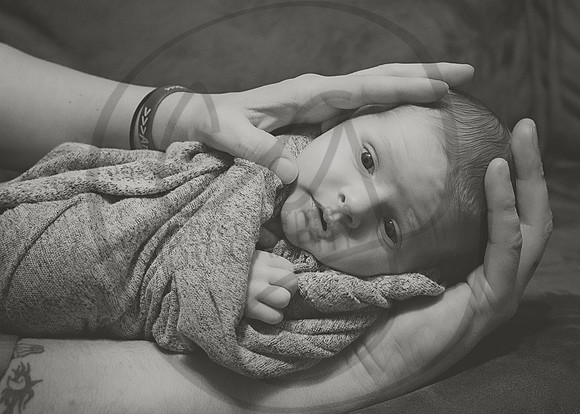 DSC_9916bw