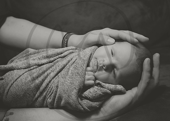 DSC_9913bw
