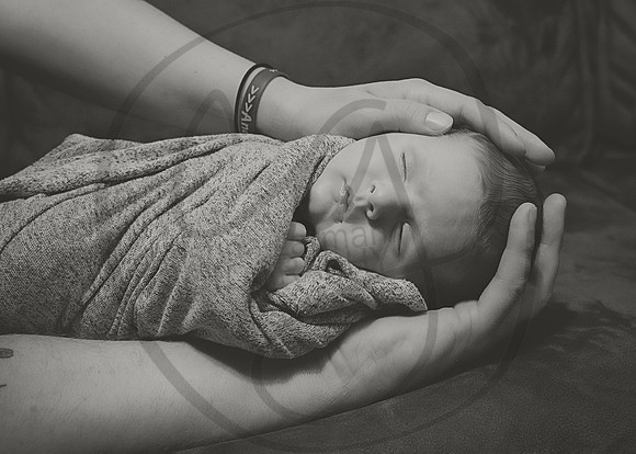 DSC_9911bw