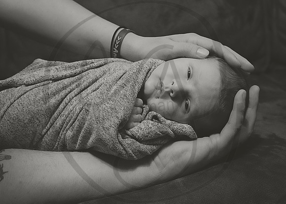 DSC_9910bw