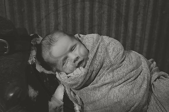 DSC_9909bw