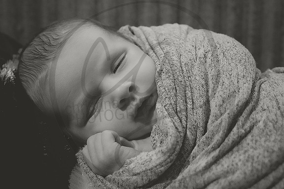 DSC_9903bw