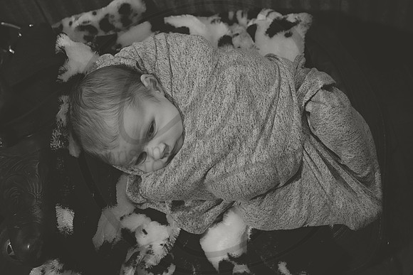 DSC_9902bw