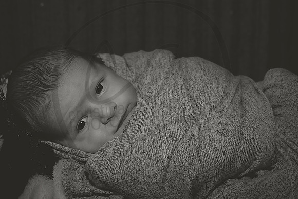 DSC_9899bw