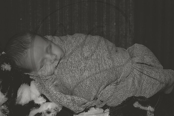DSC_9898bw